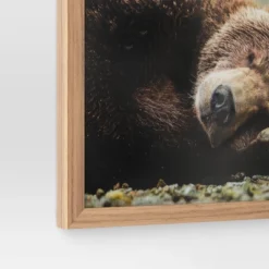 20" X 16" Bear Photography Framed Art Brown - Threshold™ 5 20" X 16" Bear Photography Framed Art Brown - Threshold™ -Decoro Shop GUEST 8d29808a 8d0a 4121 a8c8 64d15cc45658